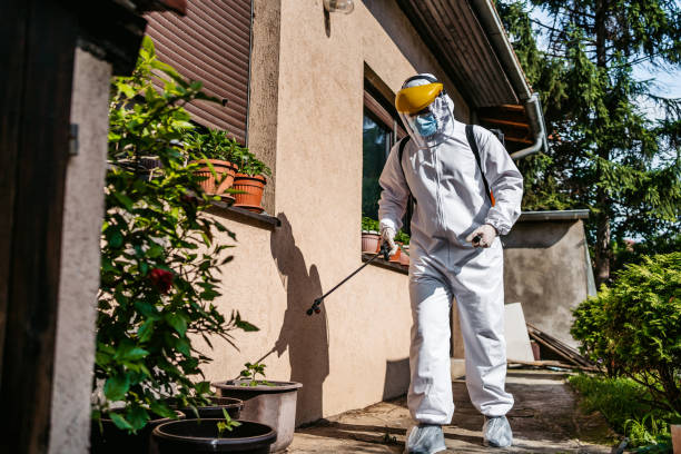 Best Wasp Removal Services  in Potosi, MO