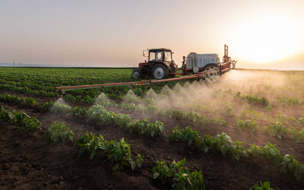 Best Mosquito Control Services  in Potosi, MO