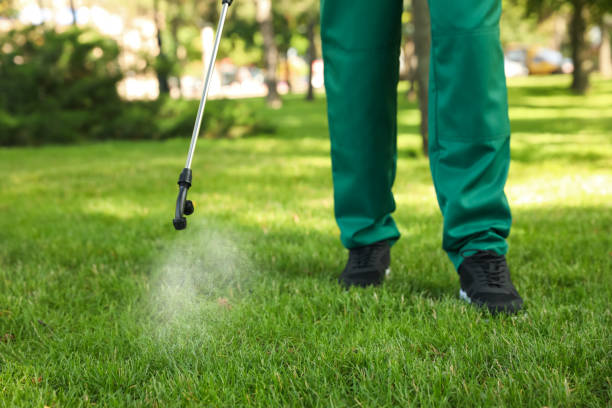 Best Pest Removal Services  in Potosi, MO