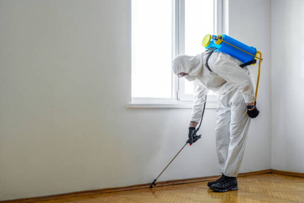 Best Best Pest Control Companies  in Potosi, MO