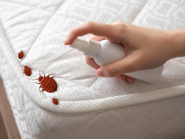 Best Emergency Pest Control  in Potosi, MO