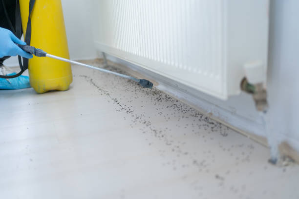 Best Cockroach Control Services  in Potosi, MO